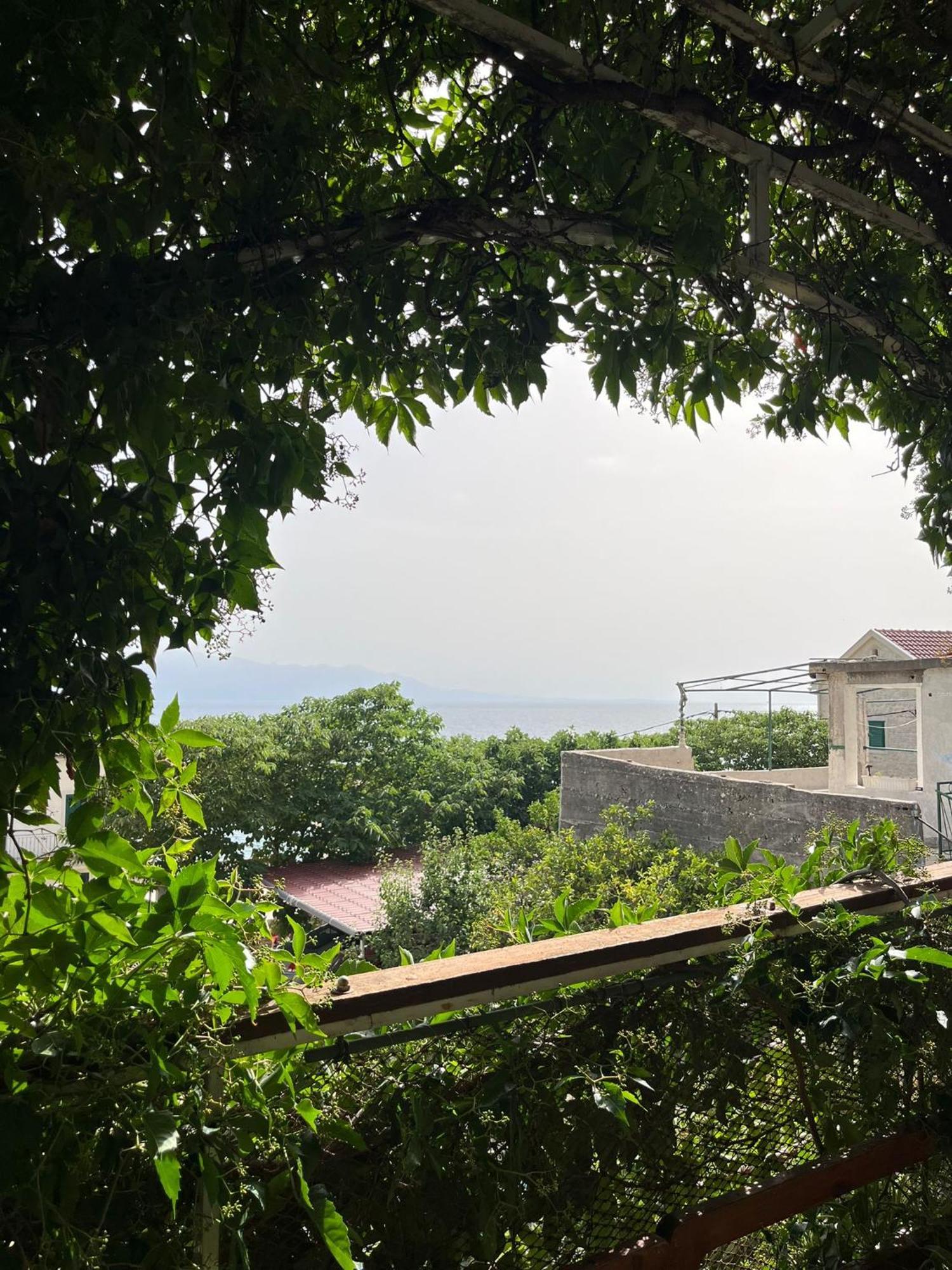 בריסט Apartmani Ankora חדר תמונה